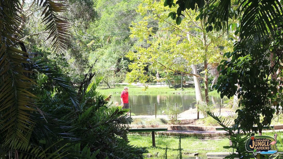 Sarasota Jungle Gardens